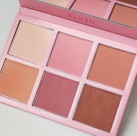 sigma blush palette